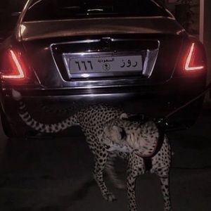 Meet your Posher, Evaristo